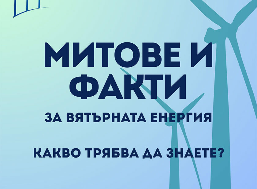 Purple Modern Business Analysis Myths and Facts Instagram Post